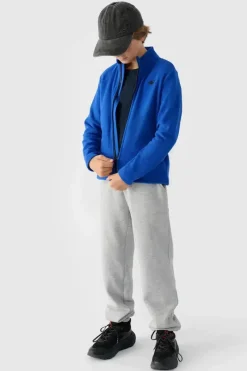 Bluzy Dziecięce|Odzież 4F></noscript>4F Chłopięcy Polar Ze Stójką JWMM00TFLEM245-36S Niebieski