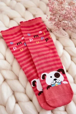 Skarpetki|Skarpetki><noscript><img width=