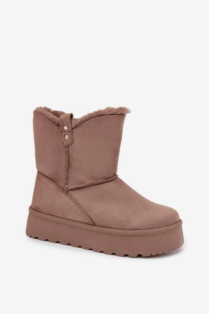 Śniegowce Damskie>Boto Damskie Śniegowce Na Platformie Z Futerkiem Ciemnobeżowe Evelira Beżowy