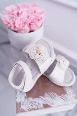 Dziewczęce><noscript><img width=