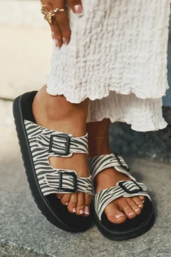 Clearance D.Franklin Zamszowe Klapki Damskie Z Klamrami DFSH405002 Zebra