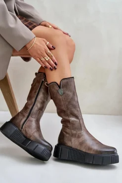 Discount 70121 Skórzane Damskie Kozaki Z Wełną Brązowe Damskie Kozaki Na Koturnie|Kozaki Przed Kolano