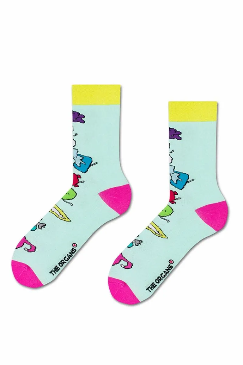 Sale ZOOKSY/RAINBOW SOCKS Zestaw Skarpetki Zooksy mixTURY Organsy 2 Pary Wielokolorowy